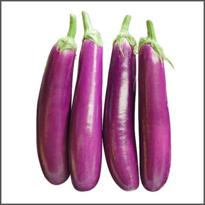 Arshiayat Brinjal Seeds F1 Hybrid All Season, muktajhuri 47 Seed(47 per packet)