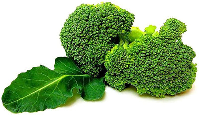 CYBEXIS Healthy Non-GMO Broccoli Seeds 1000 Seeds Seed(1000 per packet)