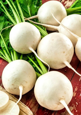 MYLAWN Turnip Egg white Seed(500 per packet)