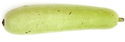 ActrovaX Fast germination Bottle Gourd Hybrid Seed Packet [10gm Seeds] Seed(10 g)