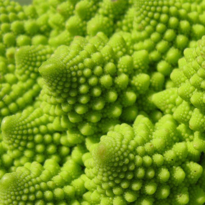 CYBEXIS Green Pagoda Broccoli Pagoda Cauliflower Seed2000 Seeds Seed(2000 per packet)