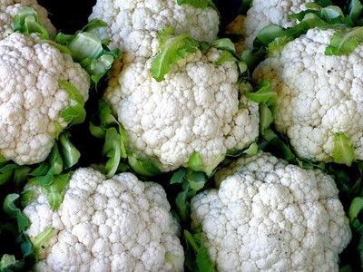 Qualtivate EXL-4AT Brassica oleracea Snowball Y Improved Cauliflower Seed(300 per packet)