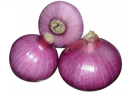 Quentova Nasik Onion-PUAS-6H Seed(250 per packet)