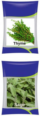VibeX ™ XLL-931- Thyme & Sage Herb Combo Seed(20 per packet)