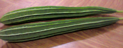 VibeX ® RXI-259 Natural Tori / Ridge Gourd Seed Seed(50 per packet)