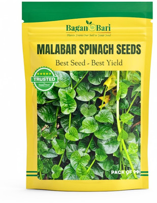 BAGAN BARI Malabar Spinach (Pui Shak) Seed(100 per packet)
