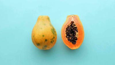 Farmonix Carica Papaya Seeds Seed(30 per packet)