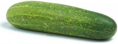 wequality Veḷḷarikkāy cucumber seeds/ Cucumber seeds 27 Seed(27 per packet)