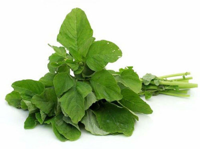 KANAYA Green Spinach Seed, Amaranthus Leaf Lal Saag Seed(100 per packet)