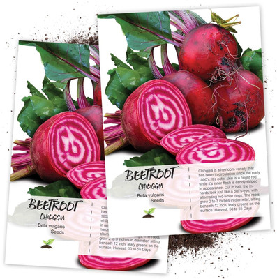 WILLVINE Beetroot Seed(200 per packet)