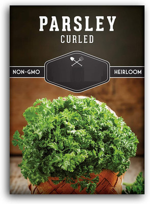 VibeX TLX-75 - Curled Parsley - (250 Seeds) Seed(250 per packet)