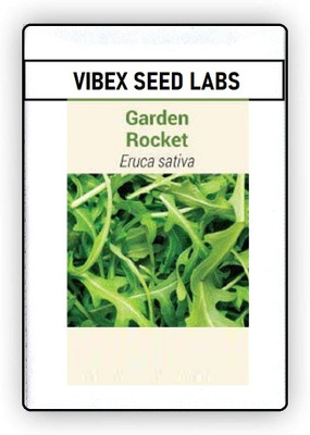 CYBEXIS F1 Hybrid Garden Rocket Seeds1400 Seeds Seed(1400 per packet)