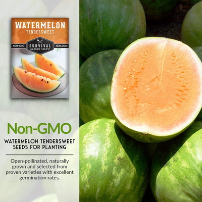 Qualtivate PUAS-6A Tendersweet Orange Watermelon Seed Seed(100 per packet)