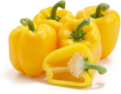 Qualtivate PUAS-4A YELLOW CAPSICUM VEGETABLE SEEDS Seed(100 per packet)