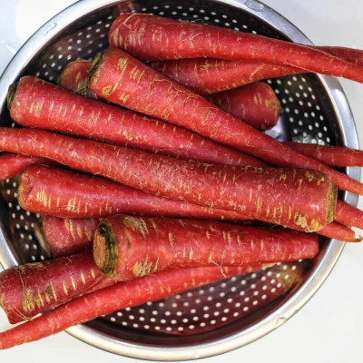 SeedHaven Carrot fresh organic Seed(100 per packet)