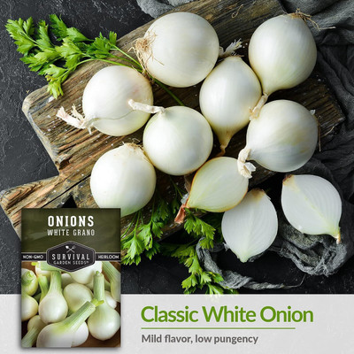 WILLVINE GOI -IX White Grano Onion Seeds [10g] Seed(7500 per packet)