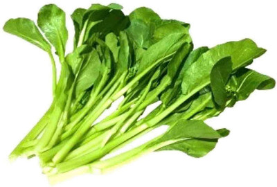 CYBEXIS Chinese Flowering Cabbage, Choy Sum2000 Seeds Seed(2000 per packet)