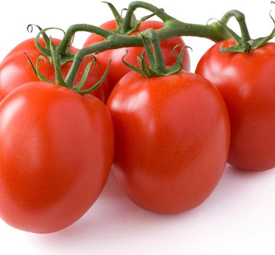 VRAKSHA HIGH QUALITY - TOMATO Seed(2000 per packet)