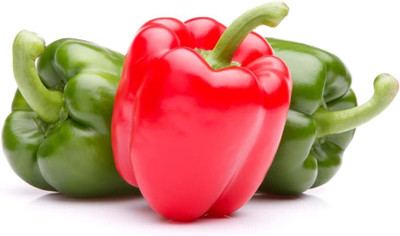 KNESSiN Organic Ozark Giant Capsicum Vegetable Seeds for Garden-(400 Seeds) Seed(400 per packet)