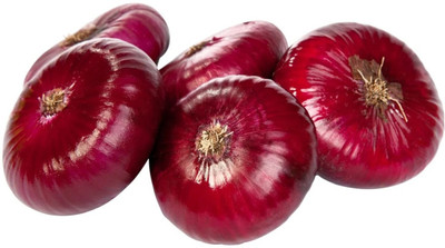 KEROS Seeds Onion Red Rare Vegetable Seed(300 per packet)