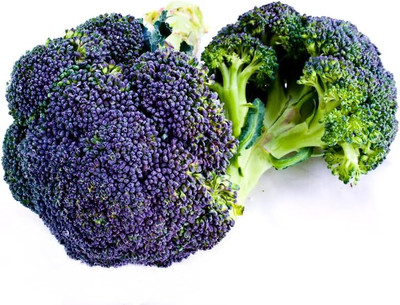 WILLVINE MAH -VI Burgundy Broccoli Seeds for Planting [25g] Seed(7500 per packet)
