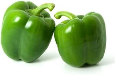 the green dotcom Capsicum Vegetable Seeds For Home Garden pack of 23 Seed(23 per packet)