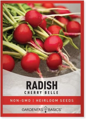 CYBEXIS KGF -37 - Cherry Belle Radish - (250 Seeds) Seed(250 per packet)