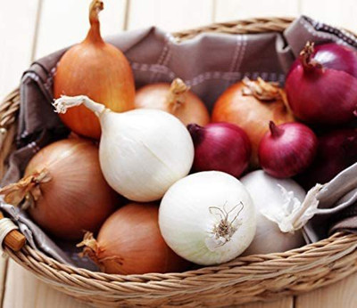 CYBEXIS XLR-6 - Onion Rainbow Mix Neutral - (4500 Seeds) Seed(4500 per packet)
