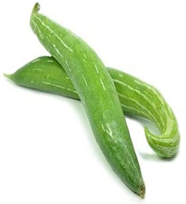 Qualtivate PUA-4A CHICHINDA/SNAKE GOURD/CHICHINGA/CHHACHINDRA SEEDS Seed(25 per packet)