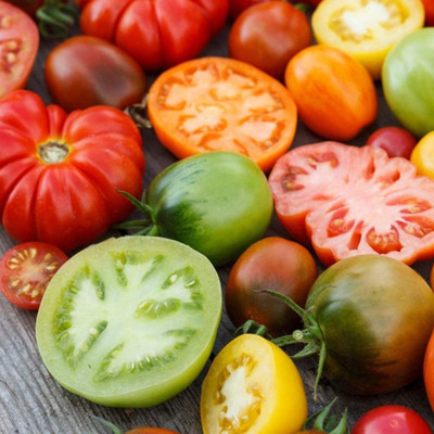 CYBEXIS Organic Non-genetically Modified Mix Tomato Seeds500 Seeds Seed(500 per packet)