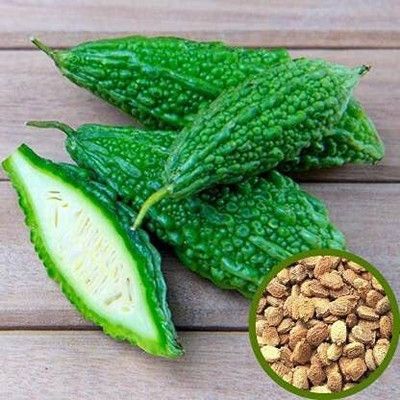 Qualtivate PUA5-A F1 Hybrid Bitter Gourd/Karela Seed(50 per packet)