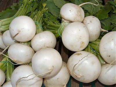 MYLAWN White Ball Turnip/Shalgam Seed(2000 per packet)
