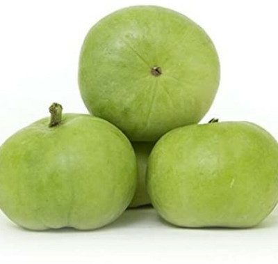 KLARKEE Org_183_Tinda/Apple Gourd Premium Quality Seeds Seed(100 per packet)