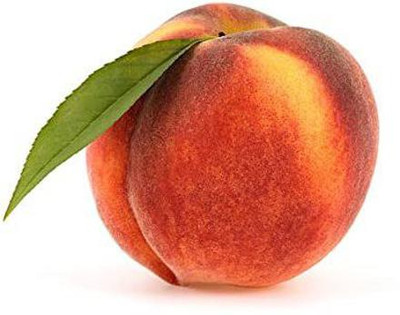 ACCELCROP Peach Dry Seed(6 per packet)