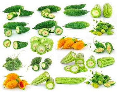 Oliver F1 BEST QUALITY BITTER GOURD SEEDS Seed(19 per packet)