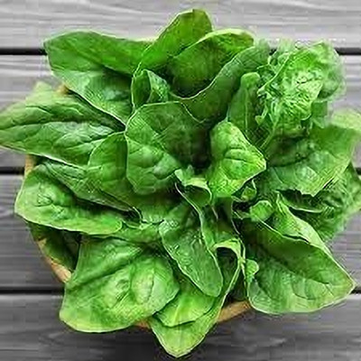 Aywal Water Spinach / Palak Seed(1000 per packet)