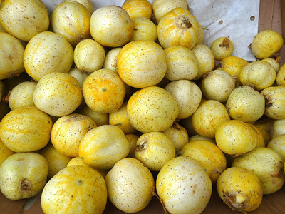 VibeX ® VLR-455 Lemon Cucumber Seeds Seed(200 per packet)