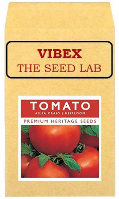 CYBEXIS Ailsa Craig Tomato Hybrid Seeds500 Seeds Seed(500 per packet)