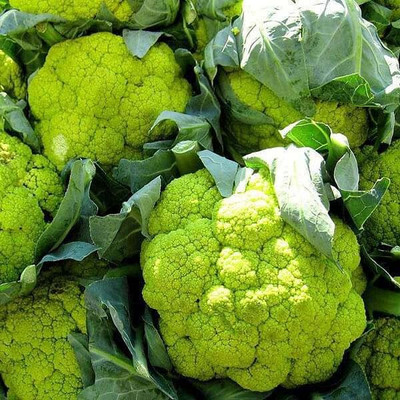 Aywal Green cauliflower Gobi Seed(30 per packet)