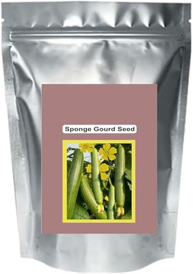 KNESSiN SNIGDHA Sponge Gourd/Loofah (Torai) Vegetable Seeds-[10gm] Seed(50 per packet)