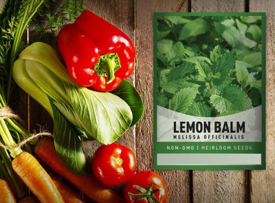 CYBEXIS TLX-41 - Lemon Balm Capricata Citronella - (2250 Seeds) Seed(2250 per packet)