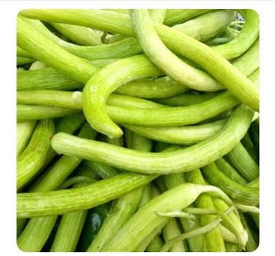 Quentova Armenian Long Cucumber / Snake Cucumber-SWAT-3F Seed(300 per packet)