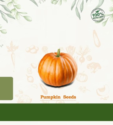 Qualtivate ICRA-5A Kaddoo/Pumpkin Seeds Seed(50 per packet)