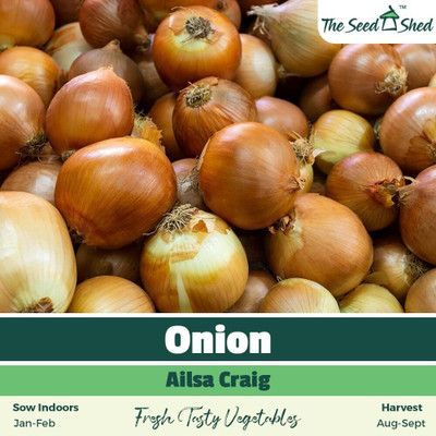 Biosnyg Ailsa Craig Giant Onion Seeds For Kitchen Gardening-(750 Seeds) Seed(750 per packet)