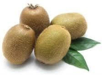 XOLDAA best quality kiwi fruit seeds Seed(192 per packet)