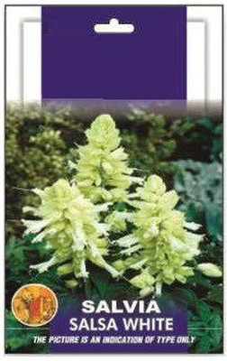 CYBEXIS Salvia Blue & White Seed(1 g)