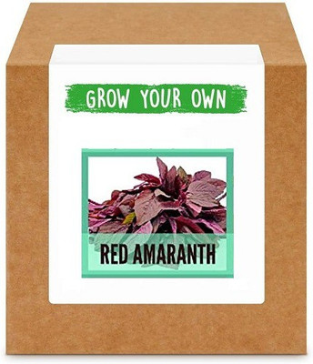 CYBEXIS Red Amaranth/Red Spinach-350 Seeds Seed(350 per packet)