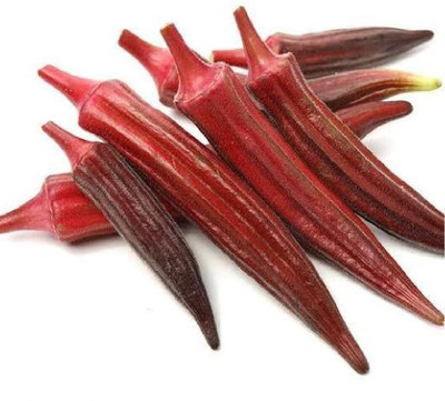 Aywal High Yield Red Lady Finger Hybrid F1 SUPREME Seed(2000 per packet)