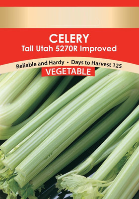 Qualtivate ATS-32 Tall Utah Celery Seed(500 per packet)