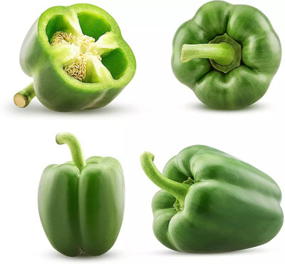 VASUDHA Green शिमला मिर्च Capsicum/Shimla Mirch Seed(800 per packet)